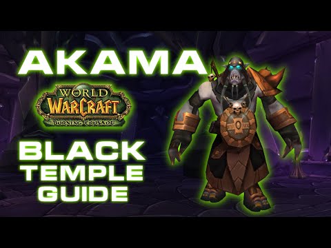 Akama in depth Guide TBC Classic // Talk the Tactics - Black Temple