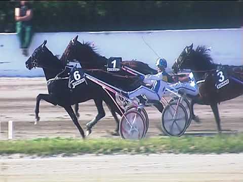 Trotto 10/05/2019 - 7ª corsa