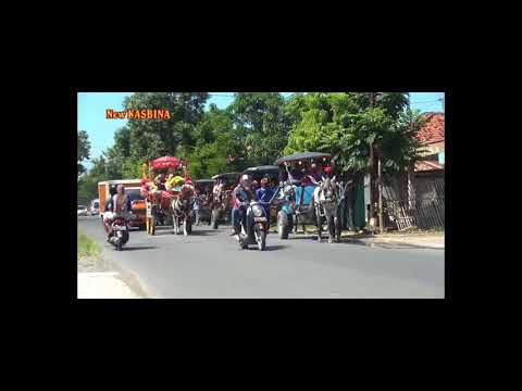 Pengantin naik delman