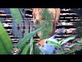 Ariel Pink's Haunted Graffiti / Menopause Man (Unofficial Video)