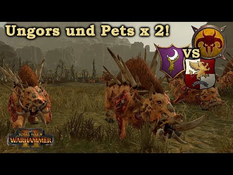 Ungors & Pets! Tiermenschen vs Imperium, Dunkelelfen - Total War: Warhammer 2 deutsch