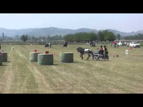 GIA-GARA SPORTATTACCHI CASALNOCETO