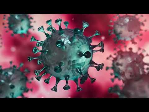 Confinement corona virus parodie de France gal évidemment