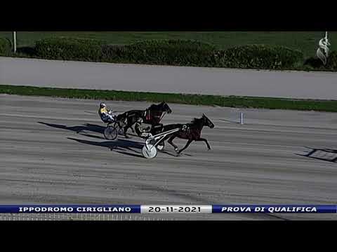 Aversa trotto 20 Novembre 2021 - Prova di qualifica