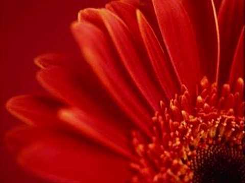 Rebecca Ryder of Synergy Interview on HearSay w/Cathy Lewis