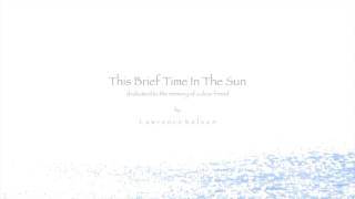 This Brief Time In The Sun