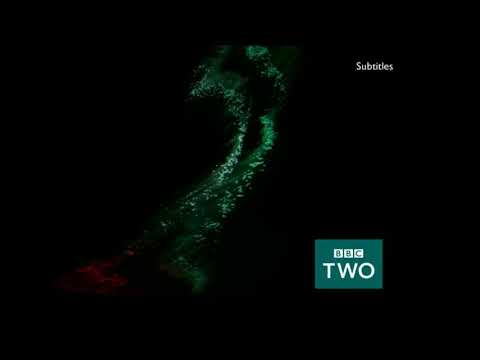 BBC Two: Optic Ident (2015-2018)
