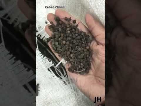 Organic Cubeb Pepper