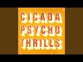 Psycho Thrills (DJ Delicious Remix) 
