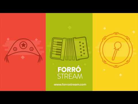 Forró Do Rei - Trio Virgulino