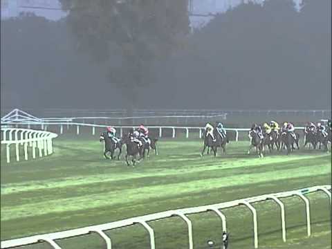 Premio Madonnina 2013 (HANDICAP PRINCIPALE)