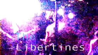 The Libertines - The Good Old Days (Live @ CBGB NY 10/04/03)