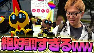 100%メガタイレーツオラァ!!!!!今日の俺は一味違うぜぇ!?!?!?【ポケモンGO】