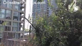 528 Beatty Street (Bowman Lofts) Roof Top Tour