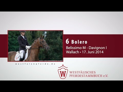 06 Bolero  Wallach v.  Belissimo M - Davignon I