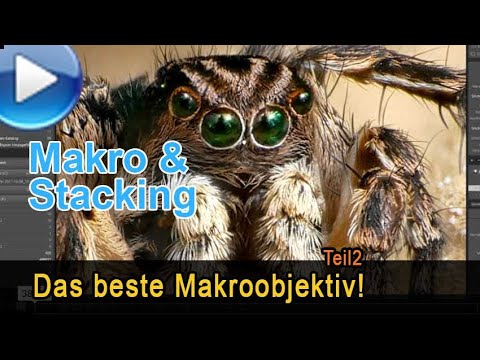 The best macro lens, part 2 (Macro & Stacking)