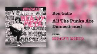 Ron Gallo - "All The Punks Are Domesticated" [Audio Only]