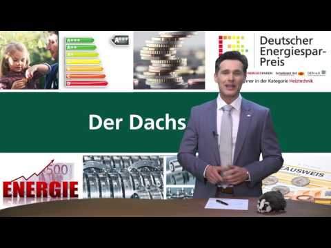 Dachs im Eigenheim Brennstoff Heizöl