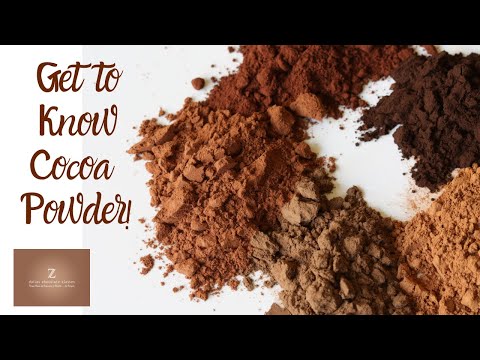 Understanding COCOA POWDER: Labels, Cookbooks, Comparisons | Dutched vs. Natural and More