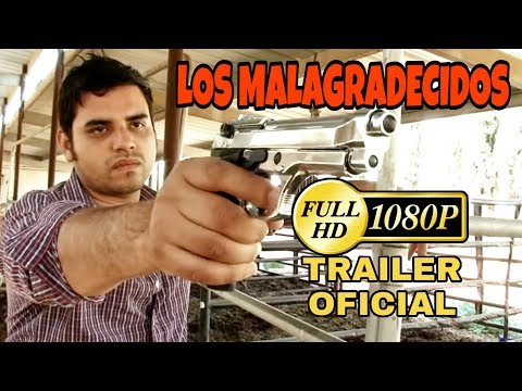 🎬 TRAILER OFICIAL: Los Malagradecidos | @HuizarTV