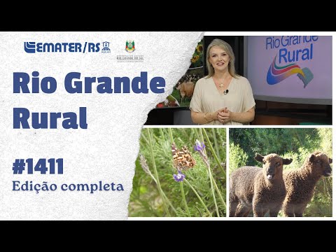 Rio Grande Rural 1411 - 18/01/2026