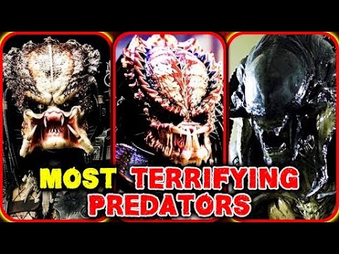 10 Most Terrifying Predators From The Entire Yautja Lore From All Mediums - Explained