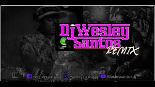 Angie Martinez feat.Kelis - Take You Home (Wesleysantosdj Extended) 97BPM