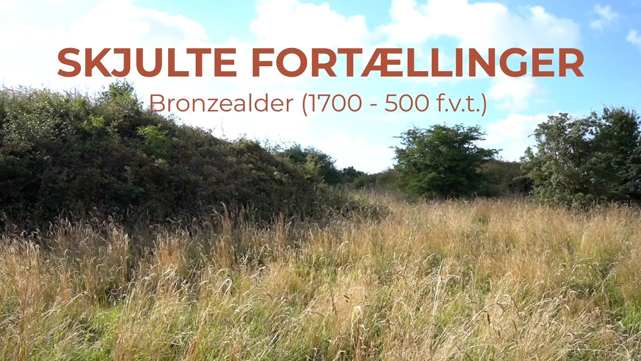 Bronzealderen på Langeland: Skatte, gravhøje og helleristninger