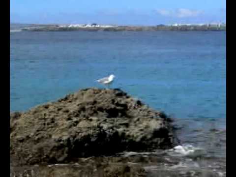 Kosheen vs. Kalkbrenner - Skylife And Sandcatch