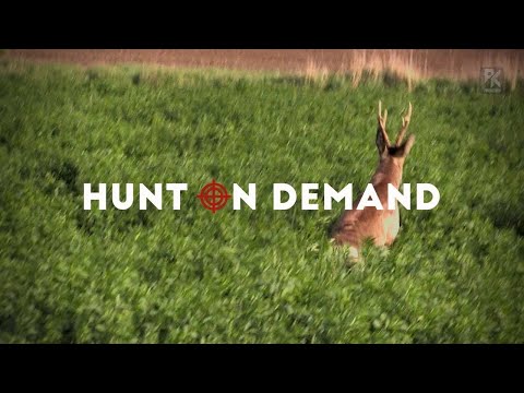 Rumänien Teil 1-3 mit Berufsjäger Willi Moser auf Maiböcke – Patrick Kastner Hunt on Demand Trailer