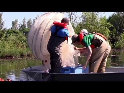 The Fisheries Technology Program at Mt. Hood Community College