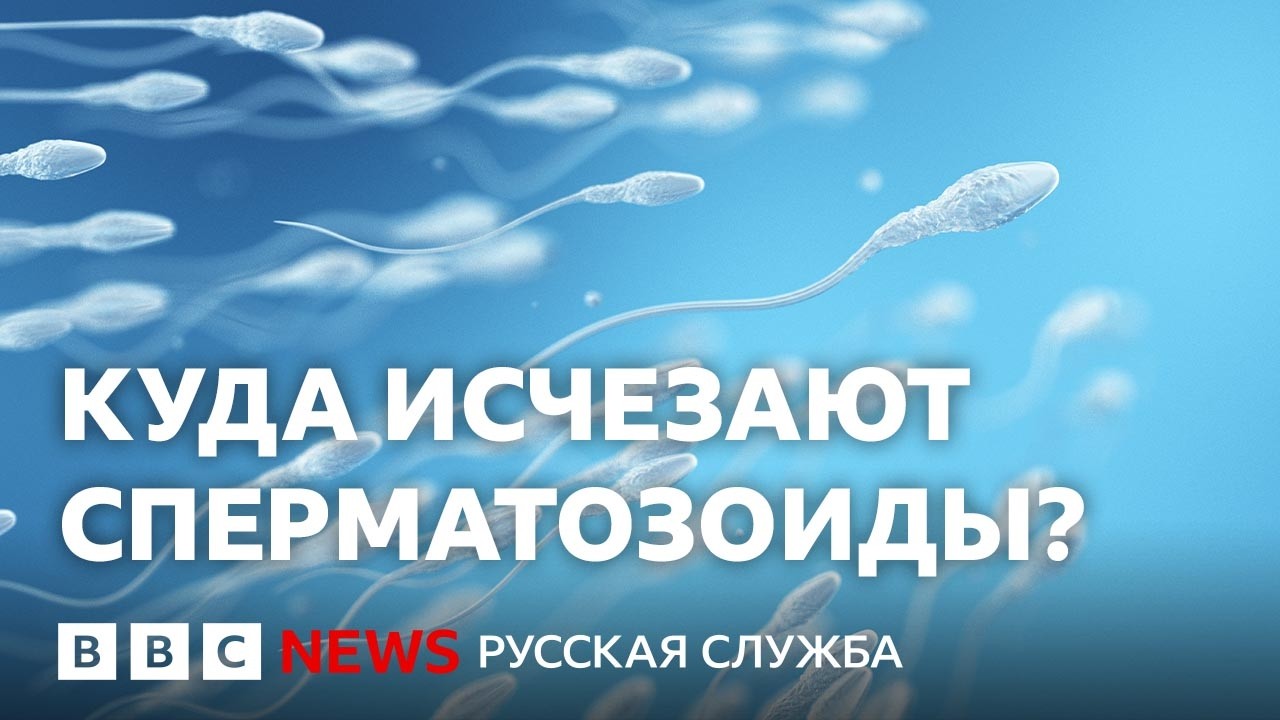 Мужчины делают это ради лучшей спермы. Но работают ли их методы? | Би-би-си объ