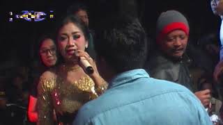 Download lagu Manuk Dara Sepasang [ Dewi Kamelia ] mp3