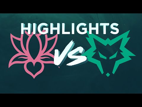 LCO HIGHLIGHTS! Team Bliss vs Dire Wolves Game 1 - Week 1 Day 1, Split 2 2023