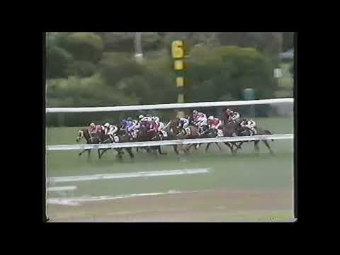 Poetic King - Manikato Stakes 1996