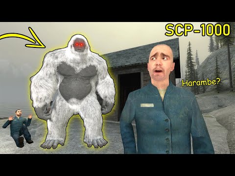 Never Approach SCP-1000