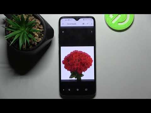 How to Find Downloaded Files on LG K41S – Find Downloaded Files