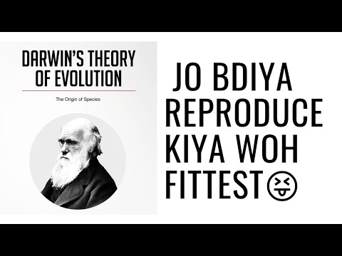 Evolution in terms of Darwin