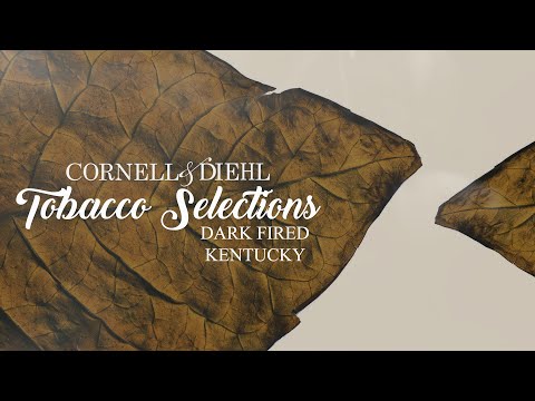 Tobacco Selections: Dark Fired Kentucky