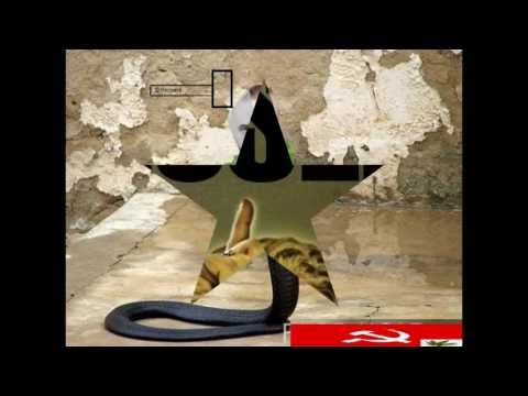 Koalicioni PS+LSI=LIRINDJE