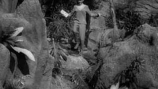 PENNY'S CAVE by John Williams