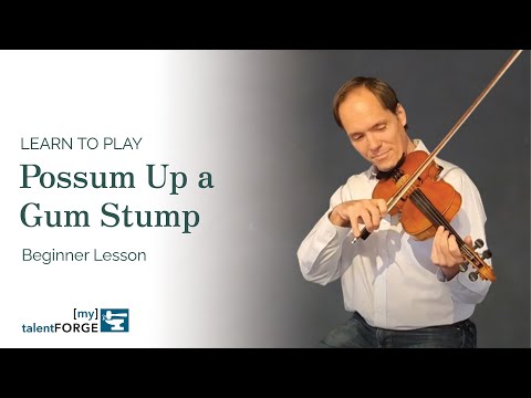 Possum Up a Gum Stump - Beginner Fiddle Lesson