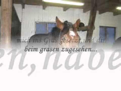 Sunny,ich liebe dich.