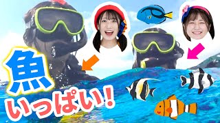幻の島で、海の中をのぞいてみた！シュノーケリング🐠【石垣島vol.5】