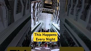 MSC World Europa Night Light Show | World Promenade