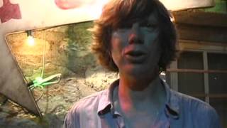 Meat Puppets: Alive In The Nineties (Thurston Moore)