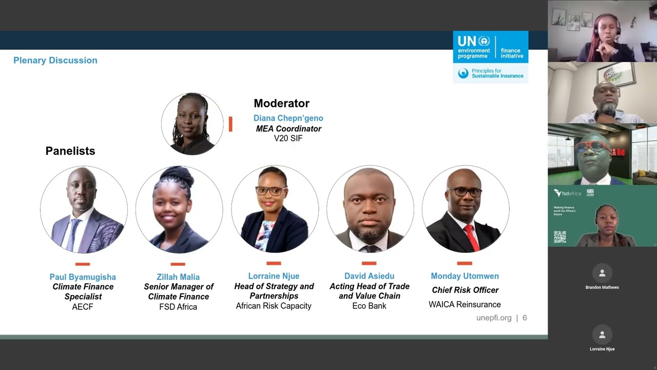 Climate Risks and Innovations for Agricultural Value Chains in Africa | 27 June 2024