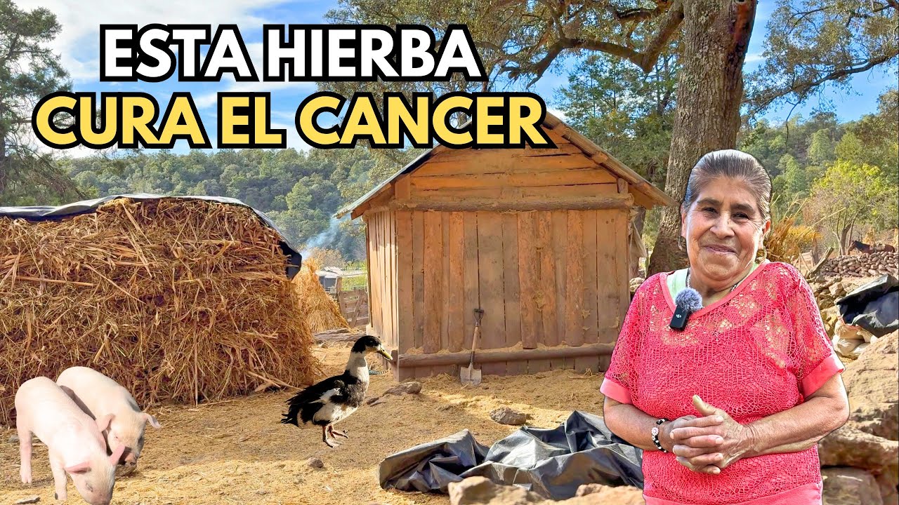 AQUÍ YA TENEMOS 45 AÑOS Y SIEMPRE HE LUCHADO POR MI FAMILIA