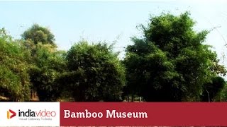 Bambusetum in Thrissur