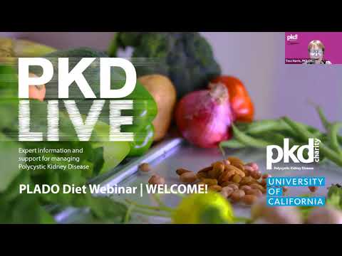 Video: 'PLADO - a plant-dominant, low-protein nutritional approach for chronic kidney disease' by Dr Kam Kalantar-Zadeh